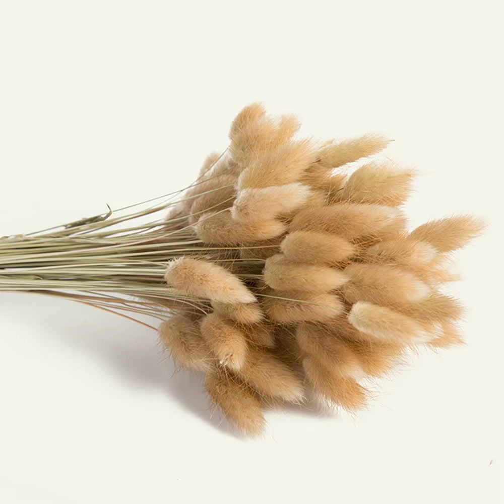 60 Stems Dried Flowers Pampas Grass Natural Plants Floral Rabbit Grass Natural Dried Flowers Bouquet for Home Wedding Decoration