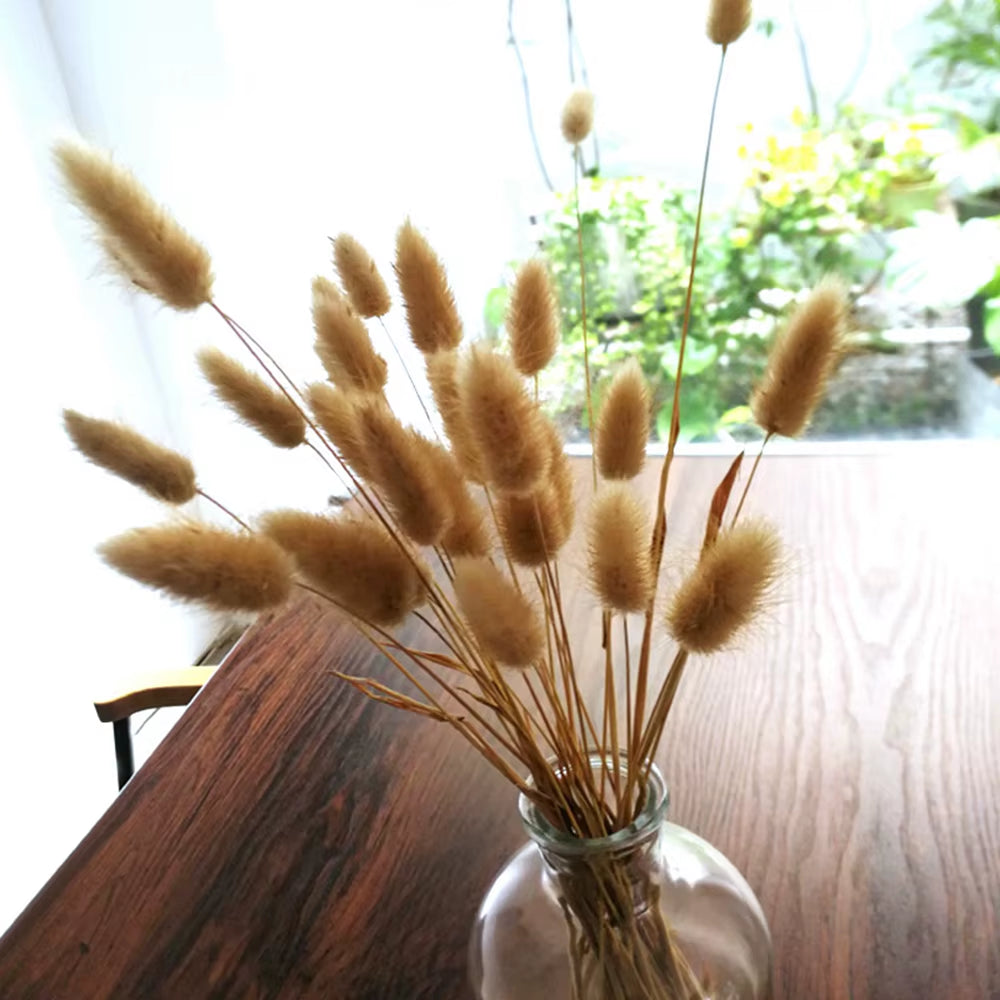 60 Stems Dried Flowers Pampas Grass Natural Plants Floral Rabbit Grass Natural Dried Flowers Bouquet for Home Wedding Decoration