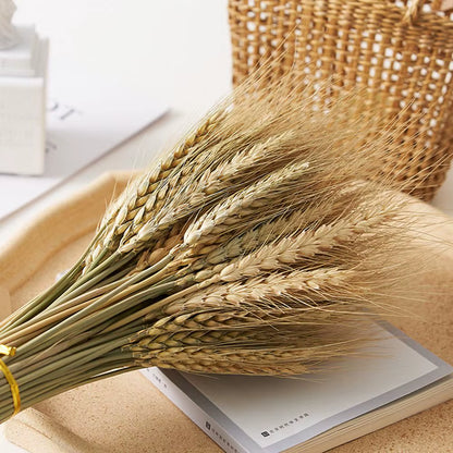 60 Stems Dried Flowers Pampas Grass Natural Plants Floral Rabbit Grass Natural Dried Flowers Bouquet for Home Wedding Decoration