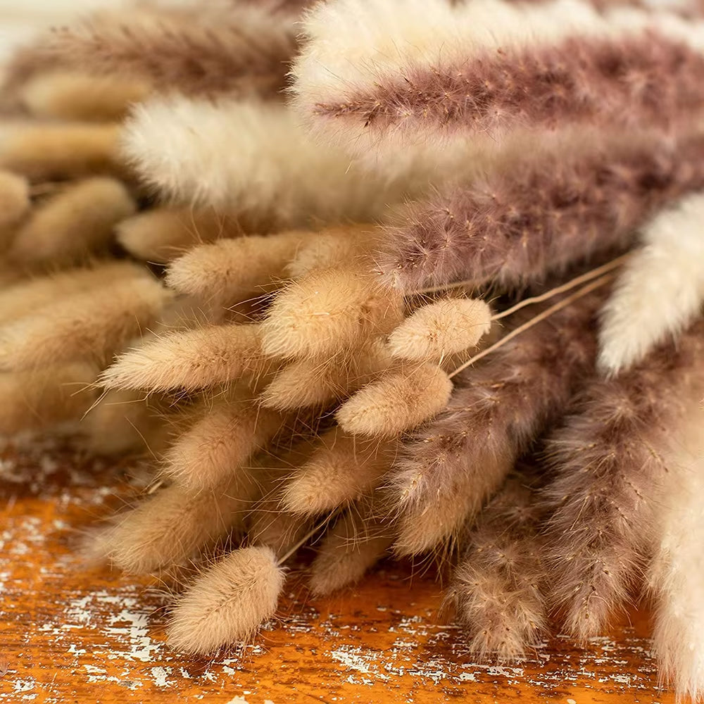 60 Stems Dried Flowers Pampas Grass Natural Plants Floral Rabbit Grass Natural Dried Flowers Bouquet for Home Wedding Decoration