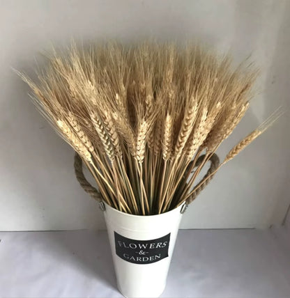 60 Stems Dried Flowers Pampas Grass Natural Plants Floral Rabbit Grass Natural Dried Flowers Bouquet for Home Wedding Decoration