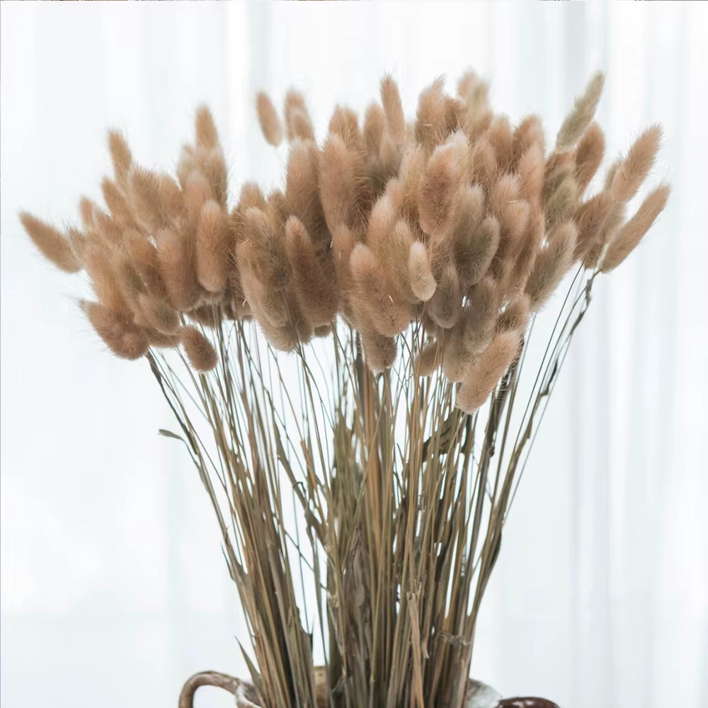 60 Stems Dried Flowers Pampas Grass Natural Plants Floral Rabbit Grass Natural Dried Flowers Bouquet for Home Wedding Decoration